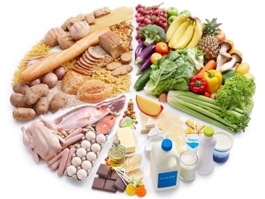 Gráfico de separação da dieta.